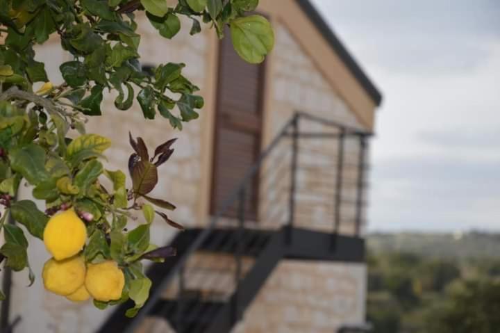 Il Carrubo Holiday House Scicli Eksteriør billede